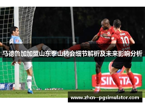 马德鲁加加盟山东泰山转会细节解析及未来影响分析